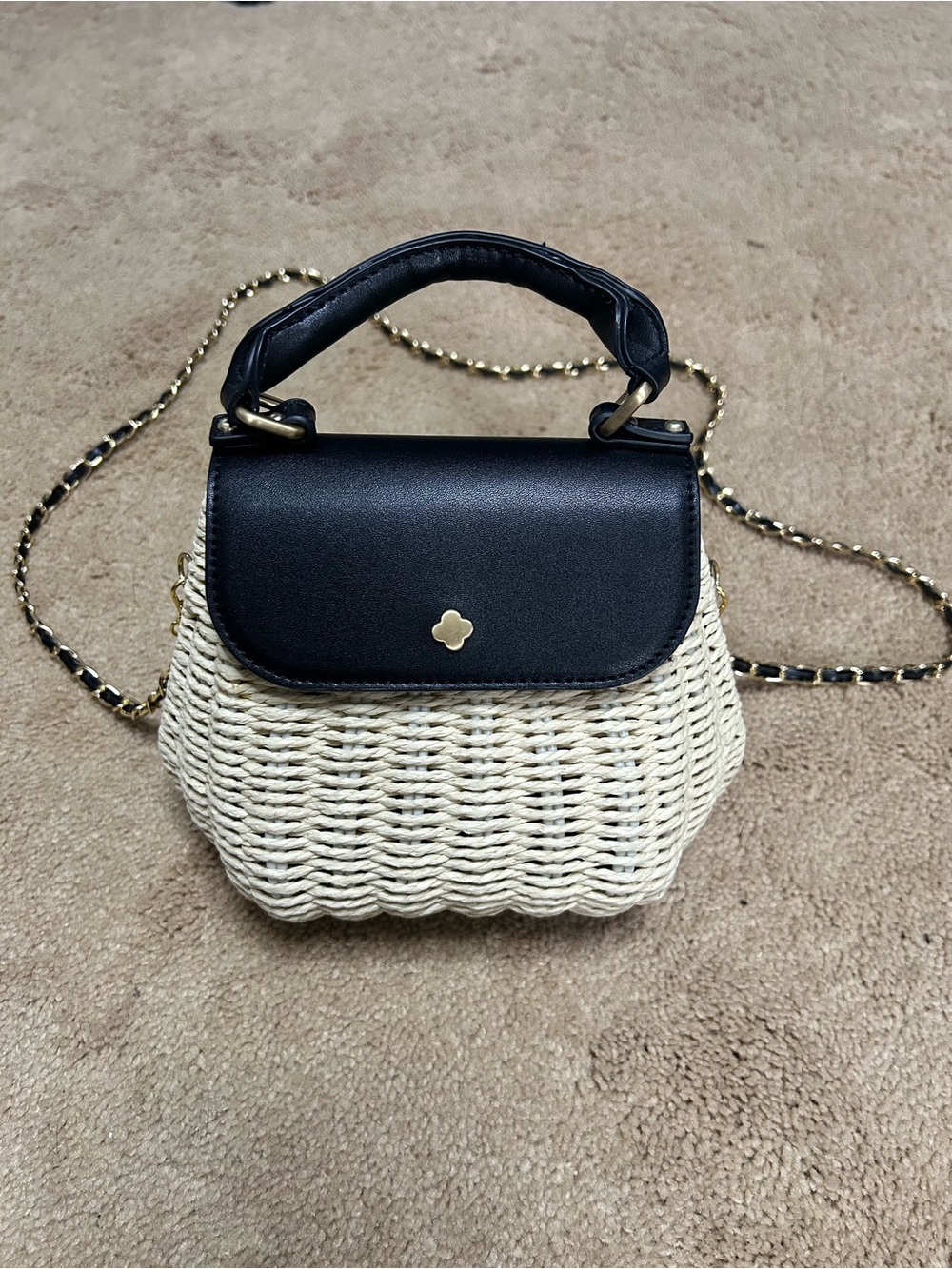 Antonio Melani Drew Small Woven Handbag with Black Leather Flap